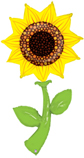 B 60&quot;/1,5 м Подсолнух / Fresh Picks™ Sunflower / 1 шт /